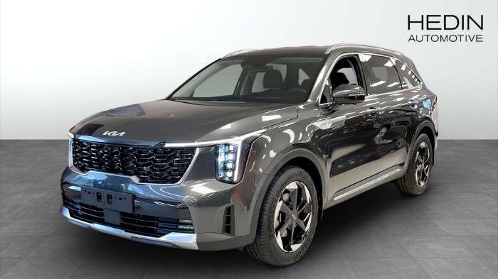 PHEV AUT AWD ADVANCE PLUS