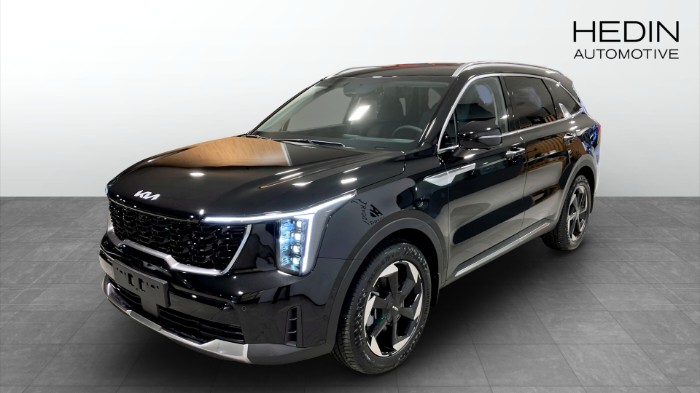 PHEV AUT AWD ADVANCE PLUS | Vinterhjul Ingår | Kampanjpris |