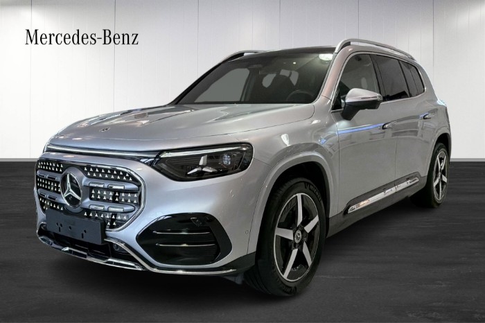 250 + AMG Line *Beställningsbil*