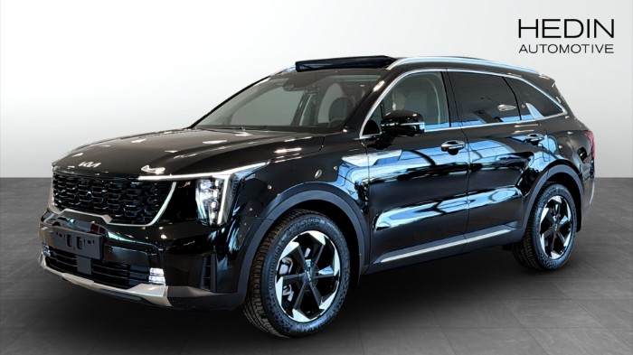 PHEV AUT AWD ADV PLUS SOLTAK *BUSINESS EDITION*