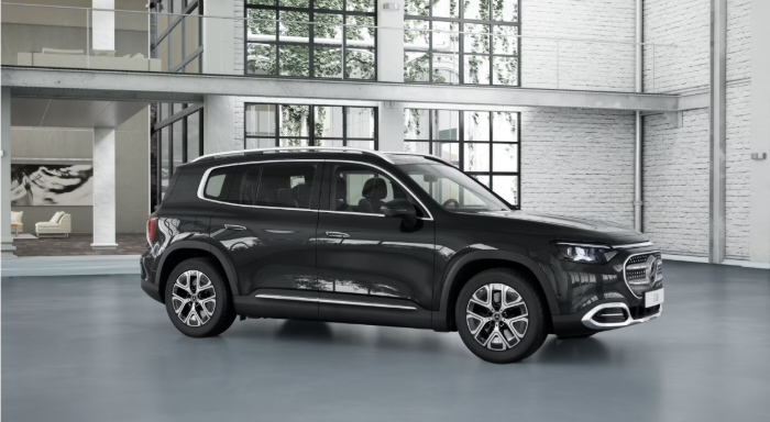 250+ Vinterpaket, 360 Kamera, Keyless-GO, Dragkrok