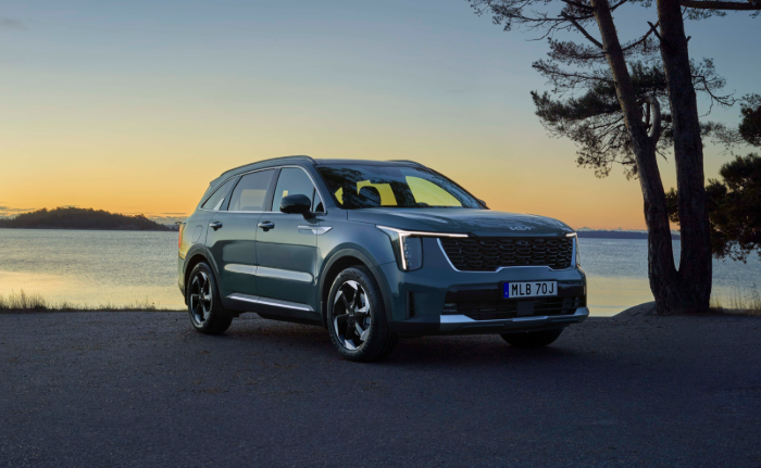 Plug-In Hybrid
