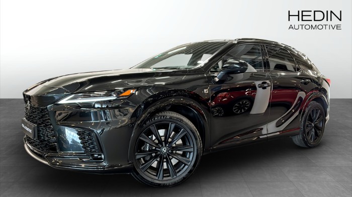 500h F Sport Backkamerarag Pano