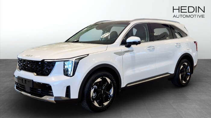 ADVANCE PLUS PANORAMA AWD
