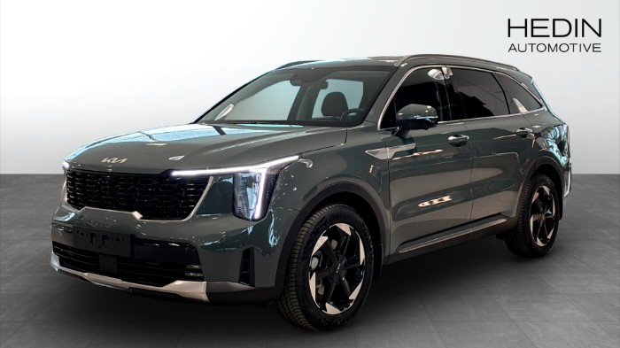 PHEV AUT AWD ADV PLUS *BUSINESS EDITION*