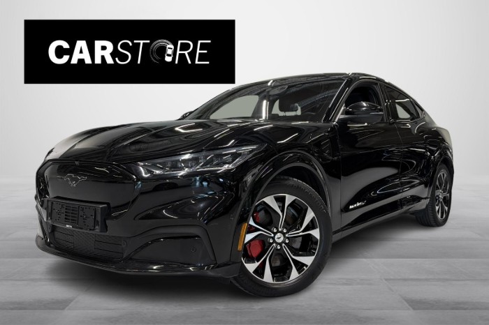 98kWh 351hv AWD Premium 5-ovinen