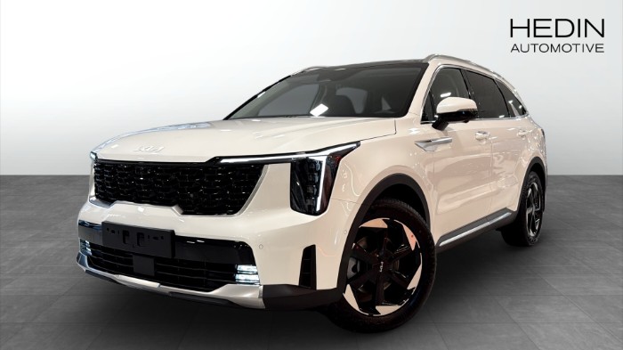 PHEV ADVANCE PLUS PANO | *DEMOTILLFÄLLE
