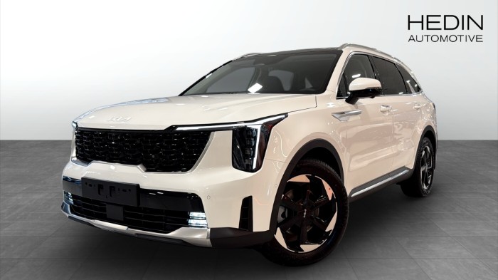 PHEV ADVANCE PLUS PANO | *DEMOTILLFÄLLE
