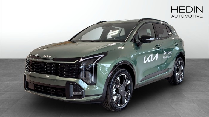 PHEV GT LINE | DEMOKLIPP !