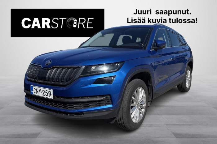 2.0 TDI 190 4x4 Ambition DSG 7-P