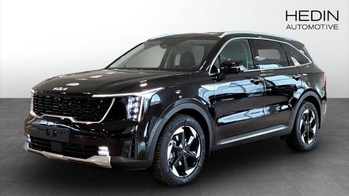 PHEV AUT AWD ADV PLUS *BUSINESS EDITION*
