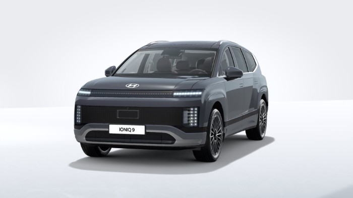 EV AWD Calligraphy Line Hedin Edition