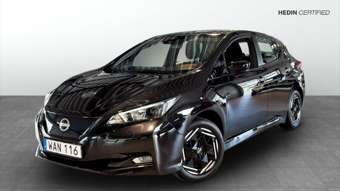 LEAF ACENTA MY22 39 KWH 6,6 KW CHARGER