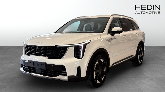 1.6 T-GDI PLUG-IN HYBRID AUT AWD ADVANCE PLUS