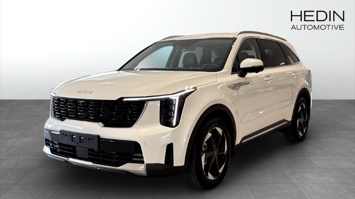 1.6 T-GDI PLUG-IN HYBRID AUT AWD ADVANCE PLUS