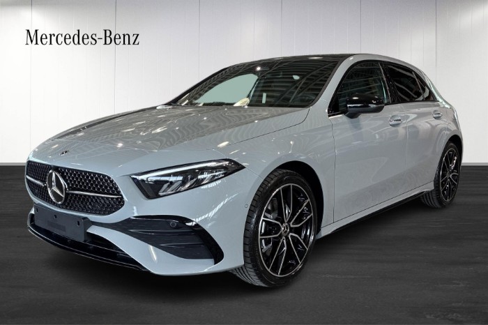 250 e | AMG Line Premium | Panorama |