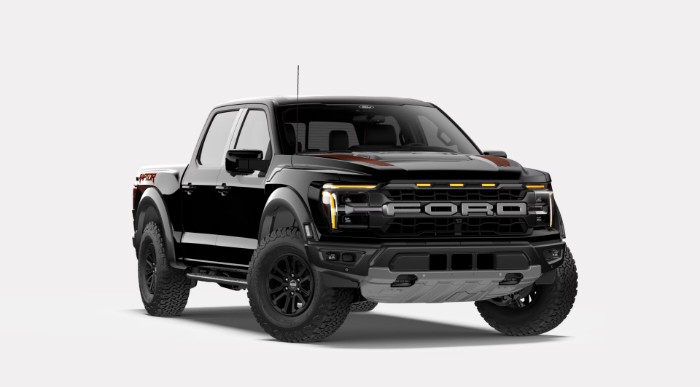 Raptor