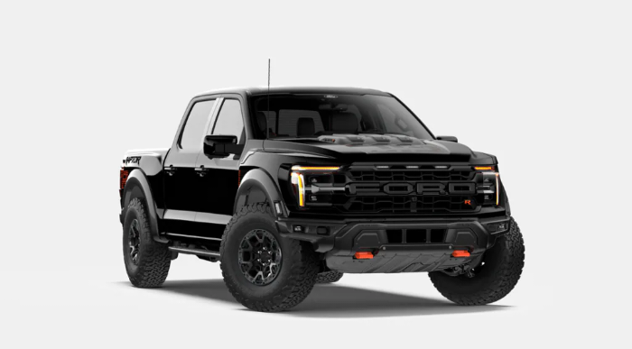 Raptor R
