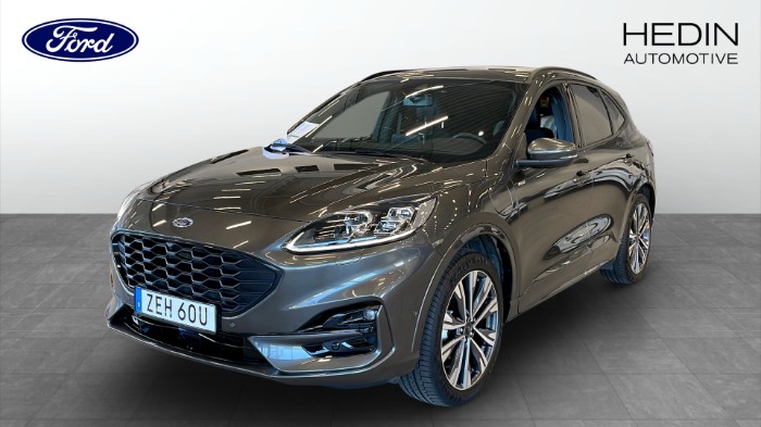kuga