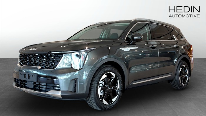 PHEV AUT AWD ADVANCE PLUS PANORAMA