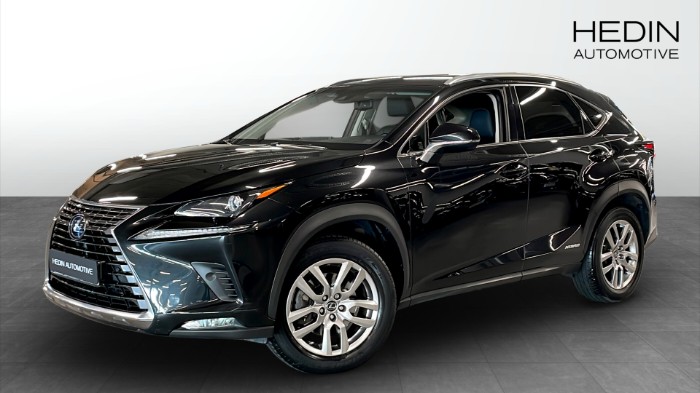 NX300H