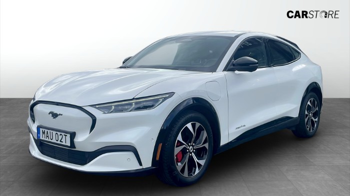 Standard Range, AWD, 269hk, Teknikpaket, B&O, 360°