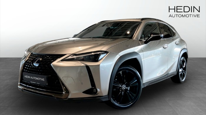 LEXUS UX250H / Backkamera / Navigation