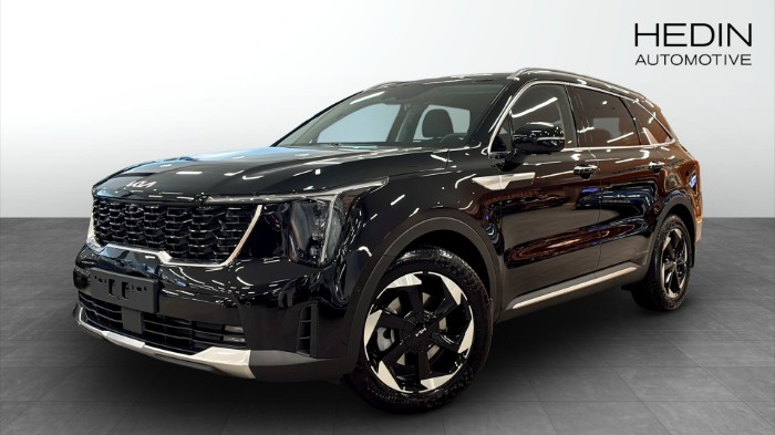 PHEV AUT AWD ADVANCE PLUS