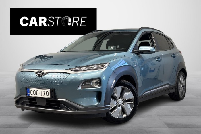 electric 64 kWh 204 hv Style