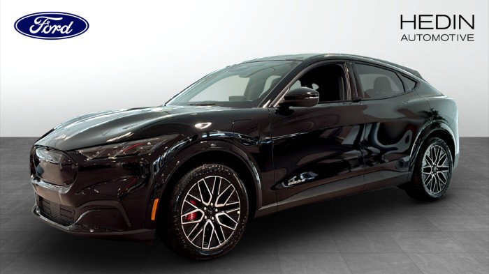 Premium Long Range RWD 276hk