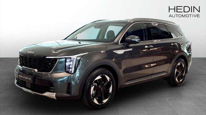 PHEV AUT AWD ADV PLUS SOLTAK *BUSINESS EDITION*