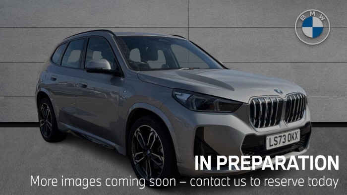 X1 xDrive25e M Sport