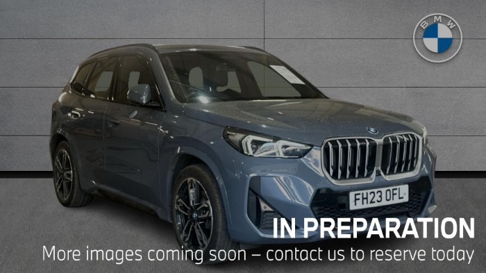 X1 xDrive25e M Sport