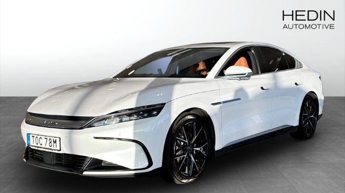 Han AWD executive Helläder/Navi/Pano