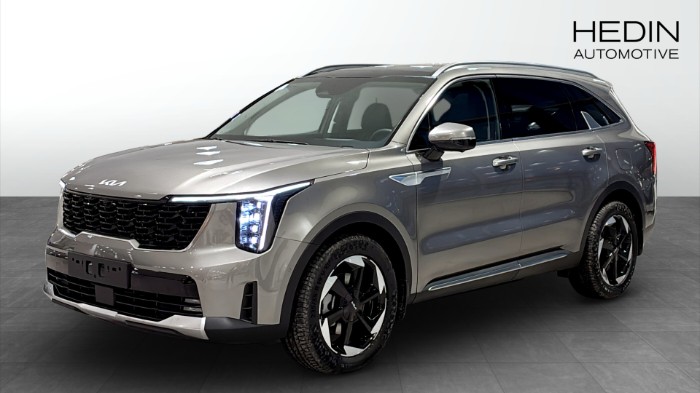 PHEV AUT AWD ADV PLUS SOLTAK *BUSINESS EDITION*