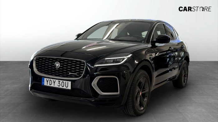 P300e R-Dynamic, SE 309Hk / Kamera / Panorama