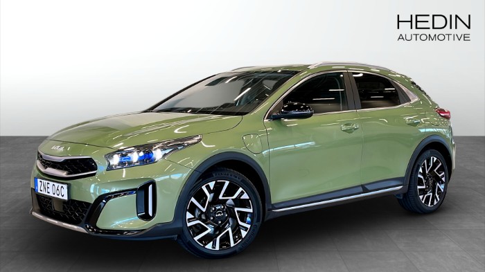 PHEV ADVANCE PLUS / NAVI / KAMERA