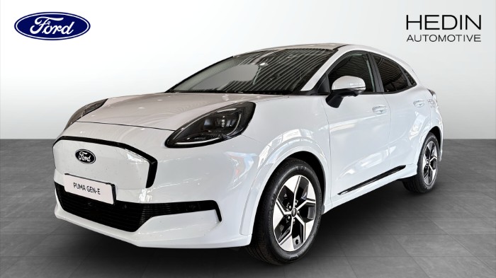 Elektrisk 2995kr/mån Privatleasing 417km Range 46,8 kW