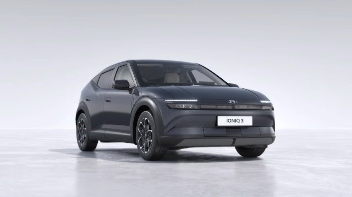 Long Range Trend 61 kWh