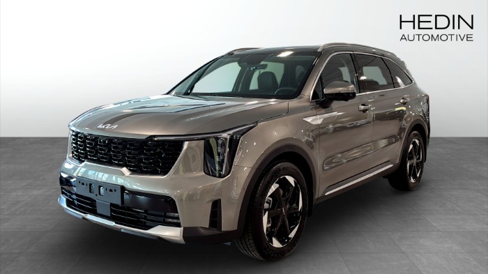 PHEV AUT AWD ADVANCE PLUS PANORAMA