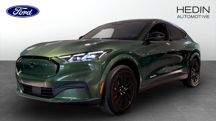Premium AWD Long Range 375 HK | Demo |