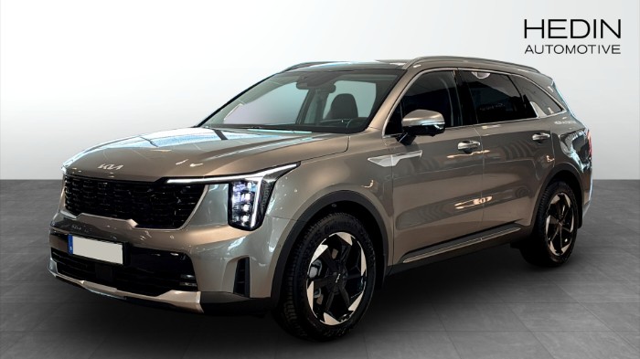 PHEV AUT AWD ADV PLUS SOLTAK *BUSINESS EDITION*