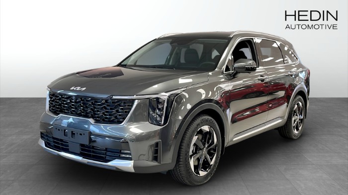PHEV AUT AWD ADVANCE PLUS