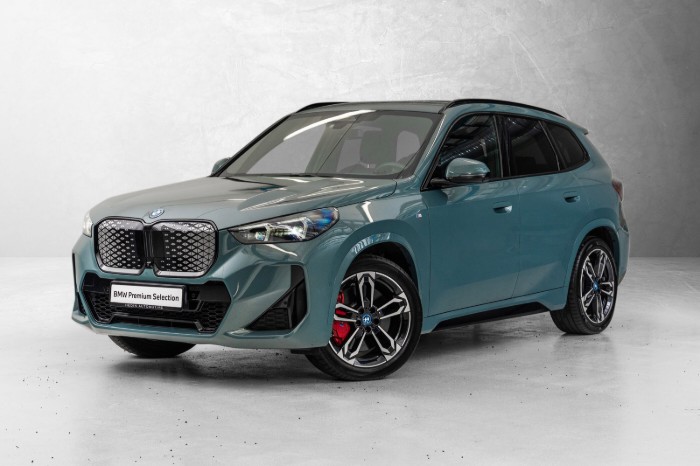xDrive30 Fully Charged Premium E. (K)