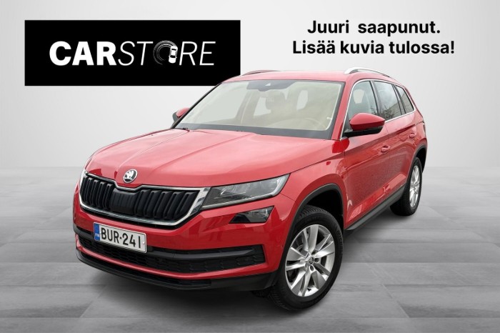 2,0 TSI 4x4 Style DSG Autom.