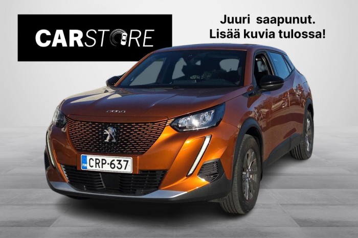 Active Pack 50 kWh 136 Automaatti SOH 96,3%