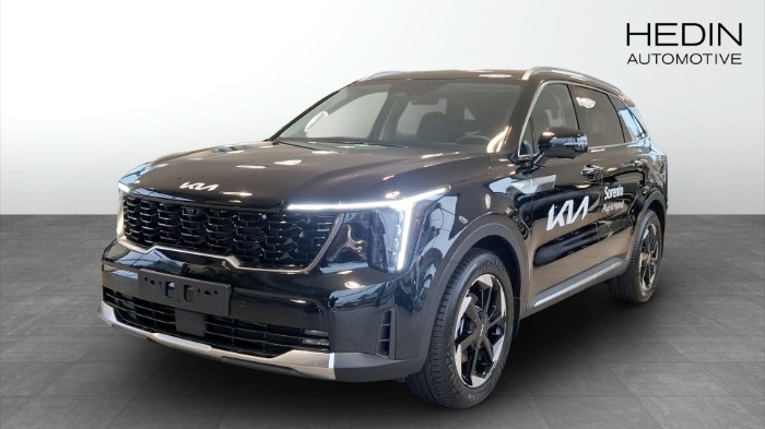 PHEV AUT AWD ADVANCE PLUS