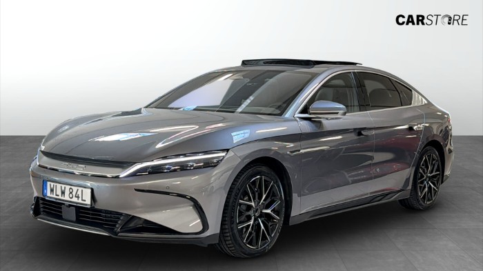 EV Executive 517Hk AWD / HUD / PANO / 360°