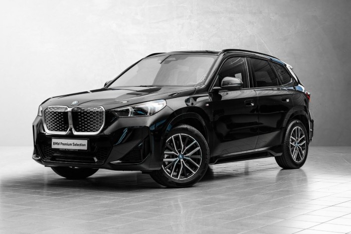 xDrive30 Fully Charged Premium E. (K)