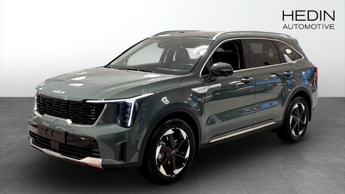 SOPHEV AUT AWD ADVANCE PLUS PANORAMA